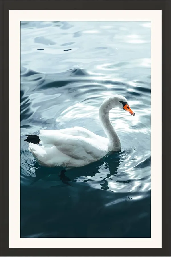 Sea_Bird_Framed_Photo_Wall_Hanging_Without_Glass