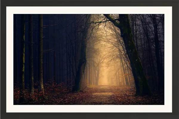 Moonlit_Forest_Wall_Art_Misty_Path_Landscape_Photo_Frame_Without_Glass