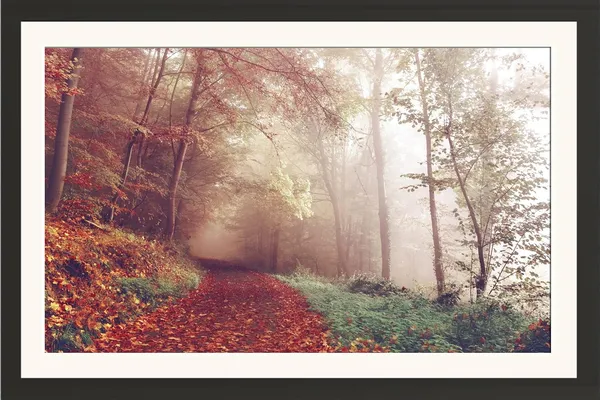 Forest_Wall_Art_Misty_Autumn_Path_Landscape_Photo_Frame_Without_Glass