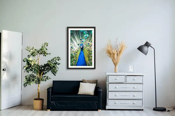 Royal_Blue_Peacock_Open_Feathers_Vastu_Art_Without_Glass_|_Wealth_Attracting_Lucky_Frame