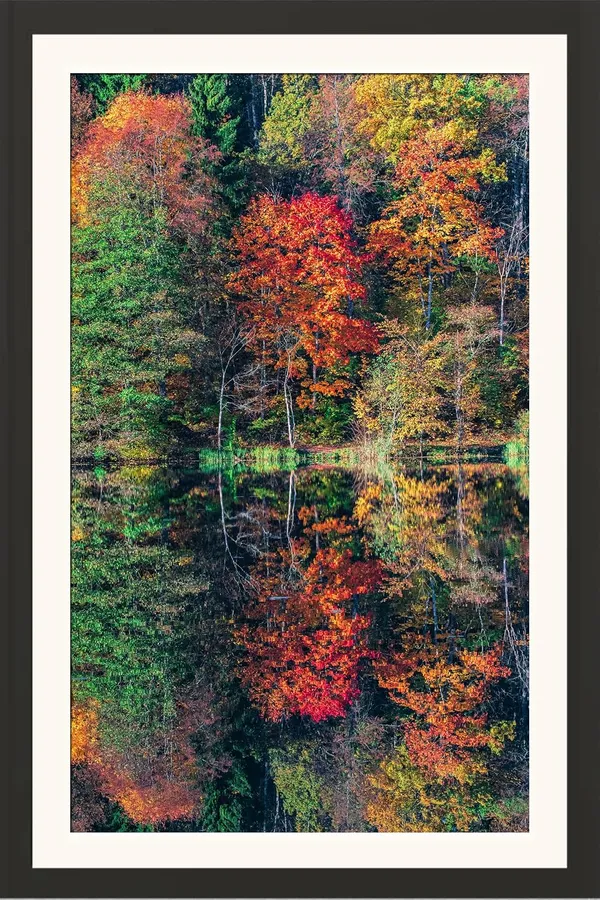 Landscape_Wall_Art_Aerial_Autumn_Canopy_Photo_Frame_Without_Glass
