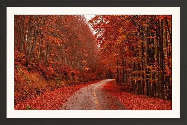 Autumn_Wall_Art_Red_Forest_Road_Landscape_Photo_Frame_Without_Glass