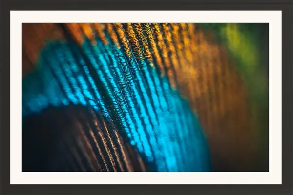 Abstract_Peacock_Feather_Macro_Vastu_Art_Without_Glass_|_Vibrant_Lucky_Energy_Frame