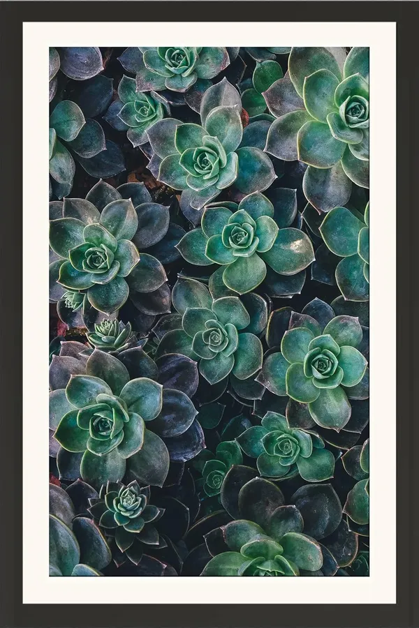 Flower_Framed_Photo_Wall_Hanging