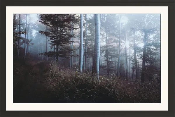 Forest_Wall_Art_Foggy_Pine_Landscape_Photo_Frame_Without_Glass