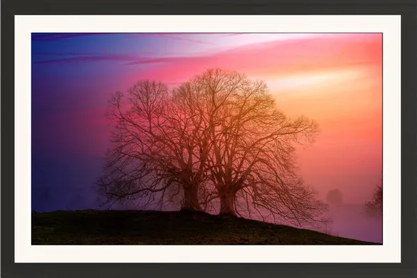 Pink_Sunset_Wall_Art_Tree_Silhouette_Landscape_Photo_Frame_Without_Glass