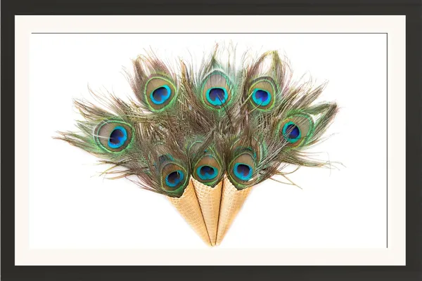 Peacock_Feather_Bouquet_Vastu_Art_Without_Glass_|_Traditional_Lucky_Charm_Frame