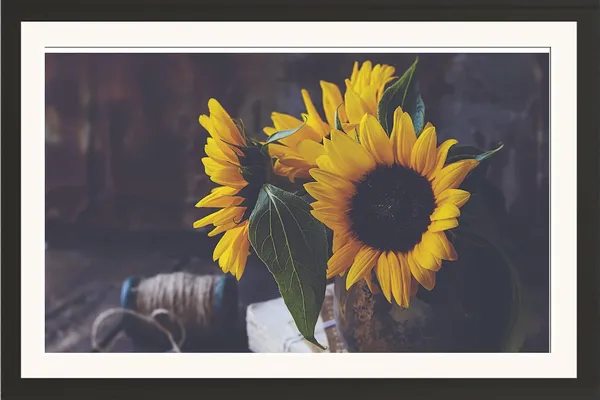 Sun_Flower_Wall_Hanging_Framed_Photo_Without_Glass