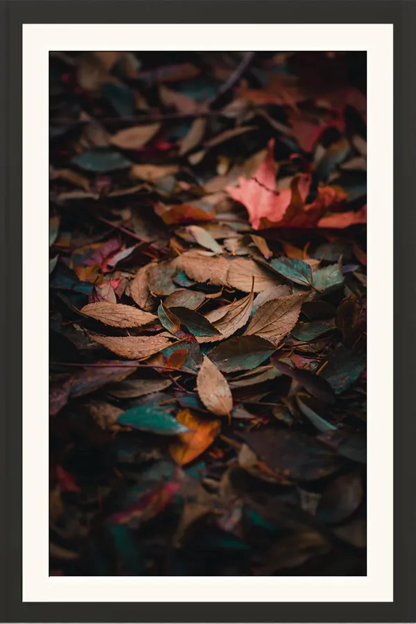 Leaves_Wall_Hanging_Framed_Photo