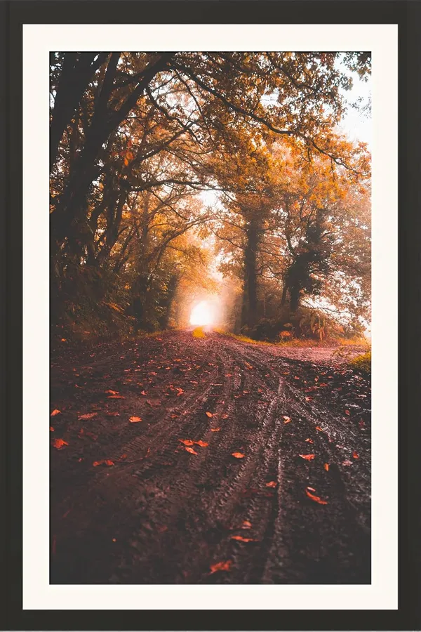 Autumn_Wall_Art_Glowing_Road_Landscape_Photo_Frame_Without_Glass