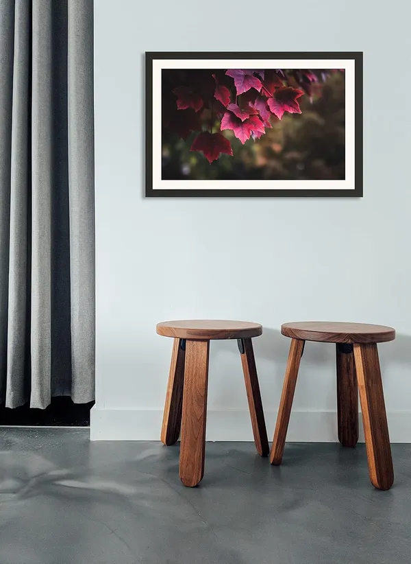 Maple_Leaf_Wall_Hanging_Framed_Photo_Without_Glass