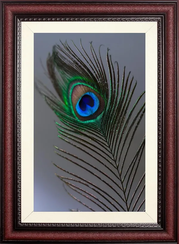 Minimal_Peacock_Feather_Vastu_Art_Without_Glass_|_Simple_Lucky_Charm_Frame