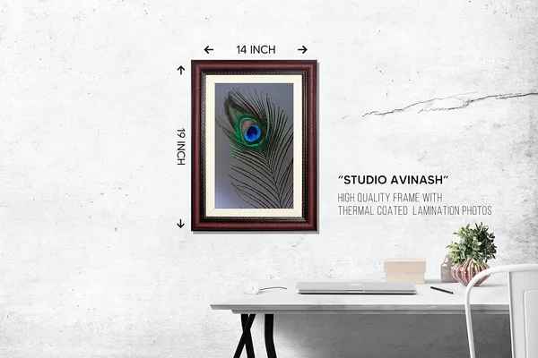 Minimal_Peacock_Feather_Vastu_Art_Without_Glass_|_Simple_Lucky_Charm_Frame