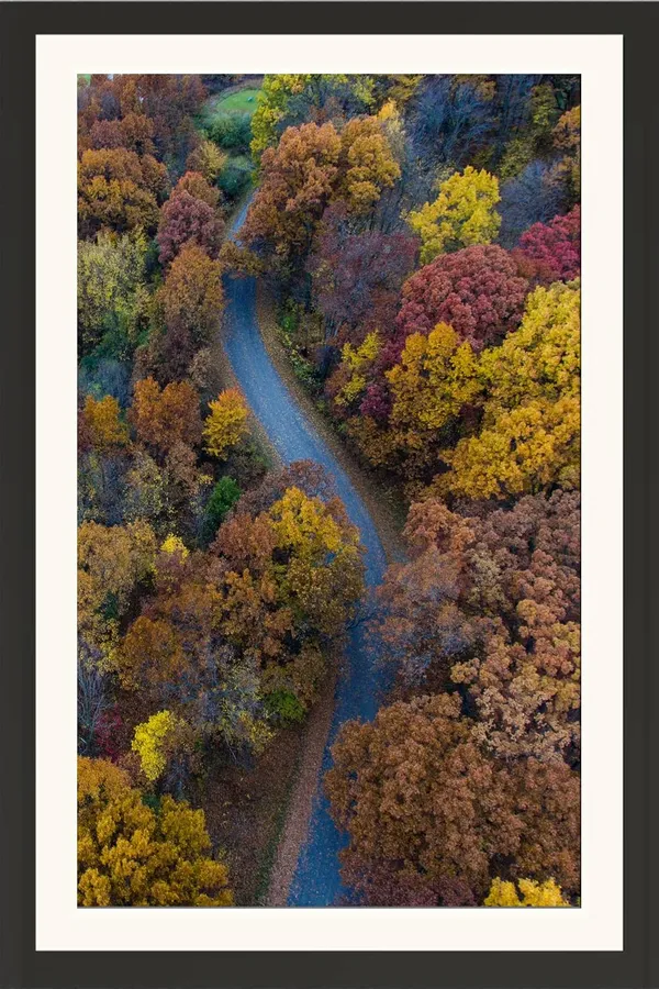 Landscape_Wall_Art_Aerial_River_Autumn_Forest_Photo_Frame_Without_Glass