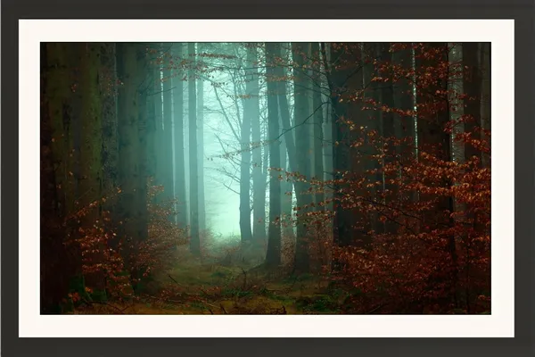 Forest_Wall_Art_Mystical_Teal_Glow_Landscape_Photo_Frame_Without_Glass