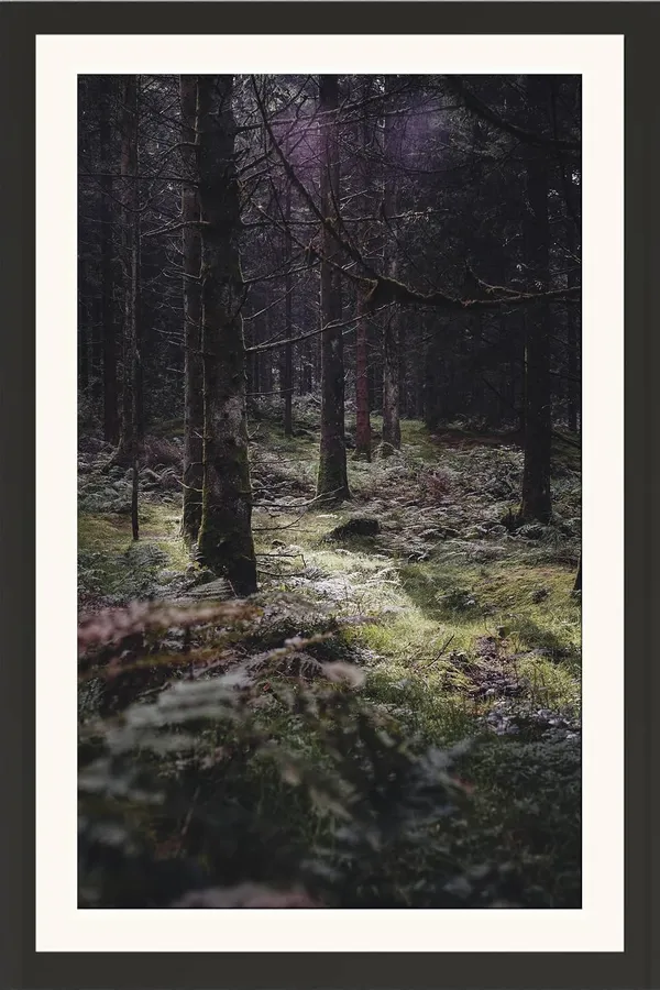 Forest_Wall_Art_Dark_Mystical_Woodland_Landscape_Photo_Frame_Without_Glass