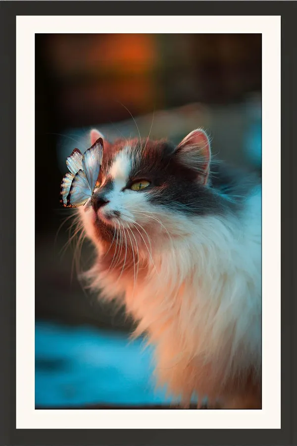 Cat_And_Butterfly_Wall_Hanging_Frame_Without_Glass
