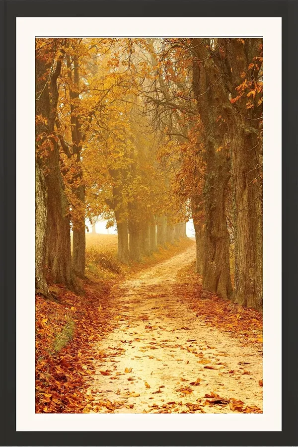 Forest_Wall_Art_Golden_Tree_Tunnel_Landscape_Photo_Frame_Without_Glass
