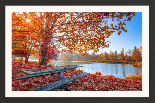 Autumn_Wall_Art_Lakeside_Bench_Landscape_Photo_Frame_Without_Glass