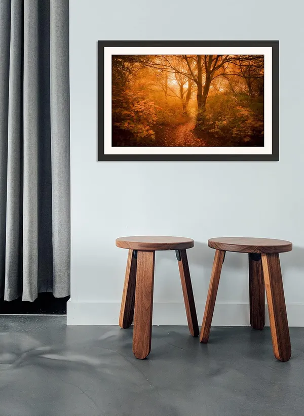 Forest_Wall_Art_Golden_Sunbeam_Landscape_Photo_Frame_Without_Glass