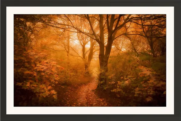 Forest_Wall_Art_Golden_Sunbeam_Landscape_Photo_Frame_Without_Glass