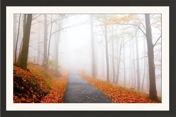 Autumn_Wall_Art_Foggy_Road_Fallen_Leaves_Landscape_Photo_Frame_Without_Glass