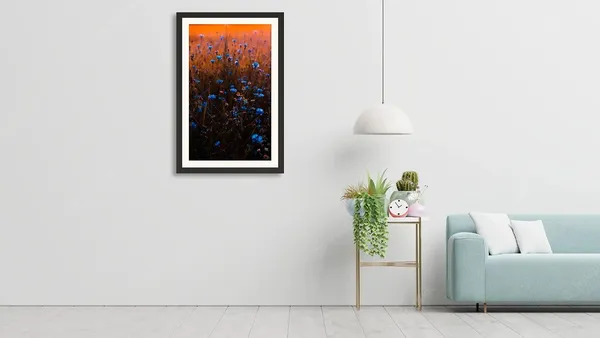 Cornflower_Field_Landscape_Wall_Art_Sunset_Photo_Frame_Without_Glass