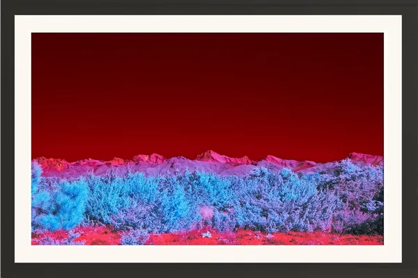 Abstract_Art_Framed_Photo_Without_Glass