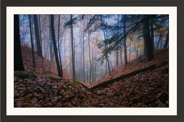 Forest_Wall_Art_Foggy_Fallen_Leaves_Landscape_Photo_Frame_Without_Glass