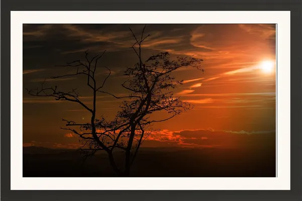 Sunset_Wall_Art_Silhouette_Tree_Landscape_Photo_Frame_Without_Glass