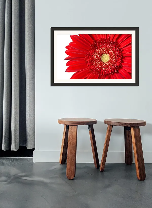 Red_Gerbera_Daisy_Flower_Wall_Hanging_Framed_Photo_Without_Glass