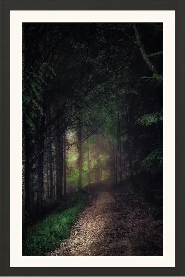Forest_Wall_Art_Dark_Misty_Path_Landscape_Photo_Frame_Without_Glass
