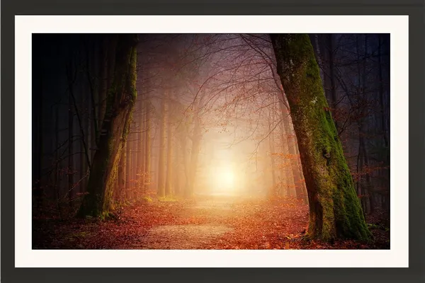 Forest_Wall_Art_Sunlit_Path_Landscape_Photo_Frame_Without_Glass