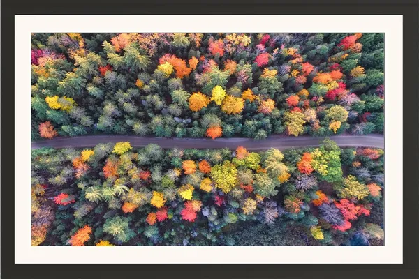 Aerial_Autumn_Landscape_Wall_Art_Colorful_Forest_Road_Photo_Frame_Without_Glass
