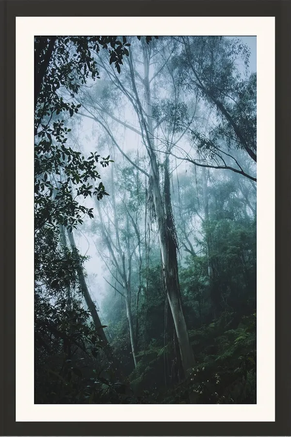 Forest_Wall_Art_Misty_Pine_Landscape_Photo_Frame_Without_Glass