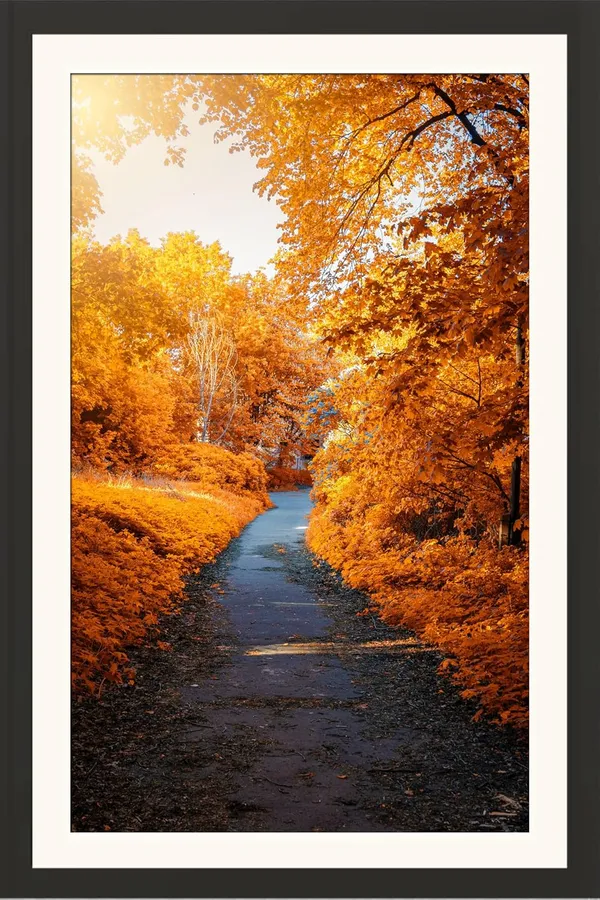 Nature_Scene_Framed_Photo_Wall_Hanging_Without_Glass