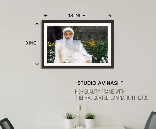 Acharya_Rajneesh_Osho_Garden_Portrait_Frame_Without_Glass