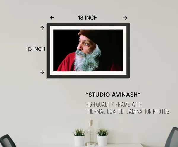 Bhagwan_Rajneesh_Osho_Side_Profile_Frame_Without_Glass