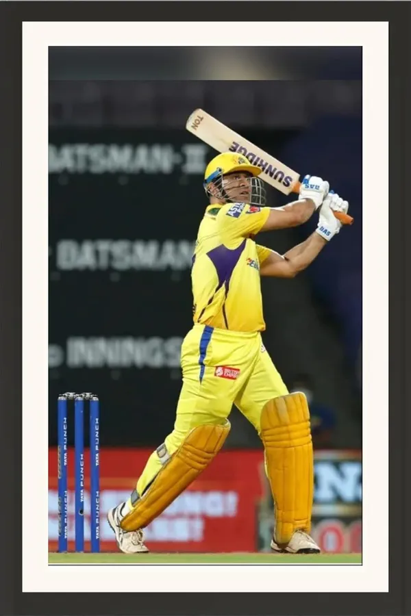 MS_Dhoni_Framed_Photo_Print_Without_Glass