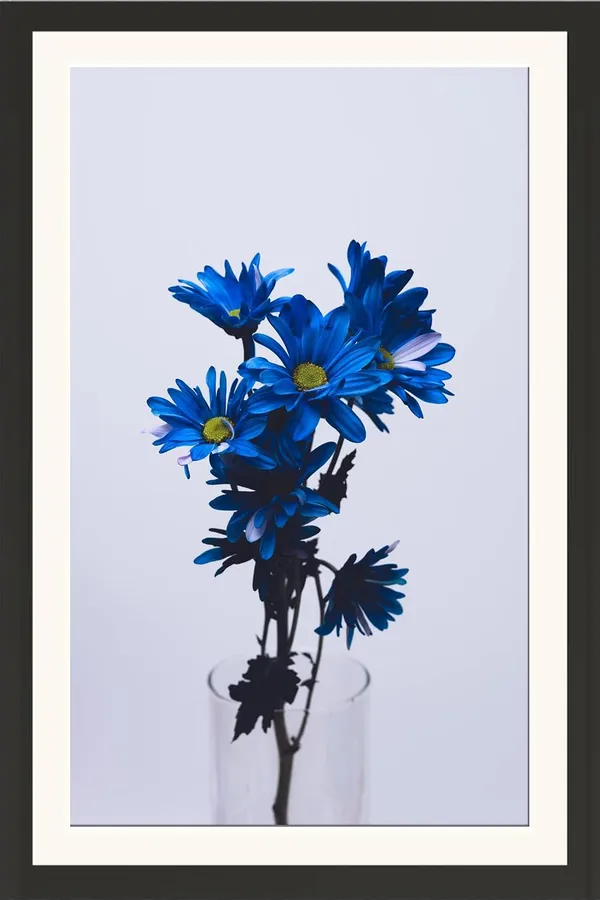 Aralia_Plant_Flower_Wall_Hanging_Framed_Photo_Without_Glass