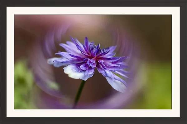Blue_lower_Wall_Hanging_Framed_Photo_Without_Glass
