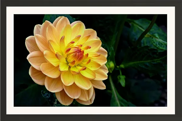 Wall_Hanging_Framed_Photo_Without_Glass