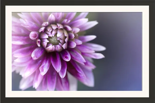 Pink_Flower_Wall_Hanging_Framed_Photo_Without_Glass