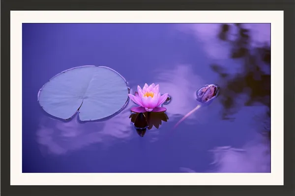 Lotus_Flower_Wall_Hanging_Frame_Without_Glass