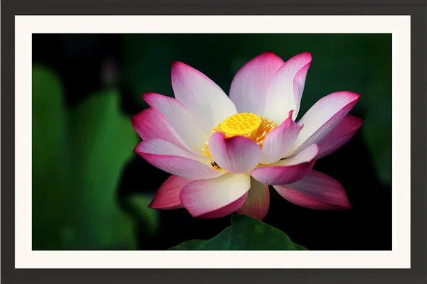 Lotus_Flower_Wall_Hanging_Frame_Without_Glass