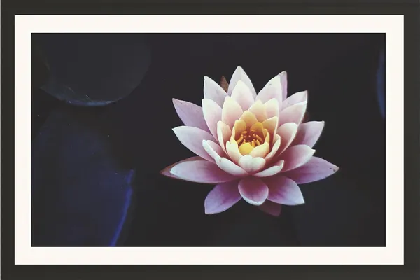 Lotus_Flower_Wall_Hanging_Frame_Without_Glass