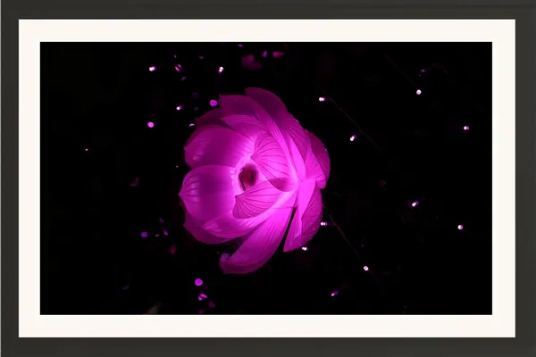 Lotus_Flower_Wall_Hanging_Frame_Without_Glass