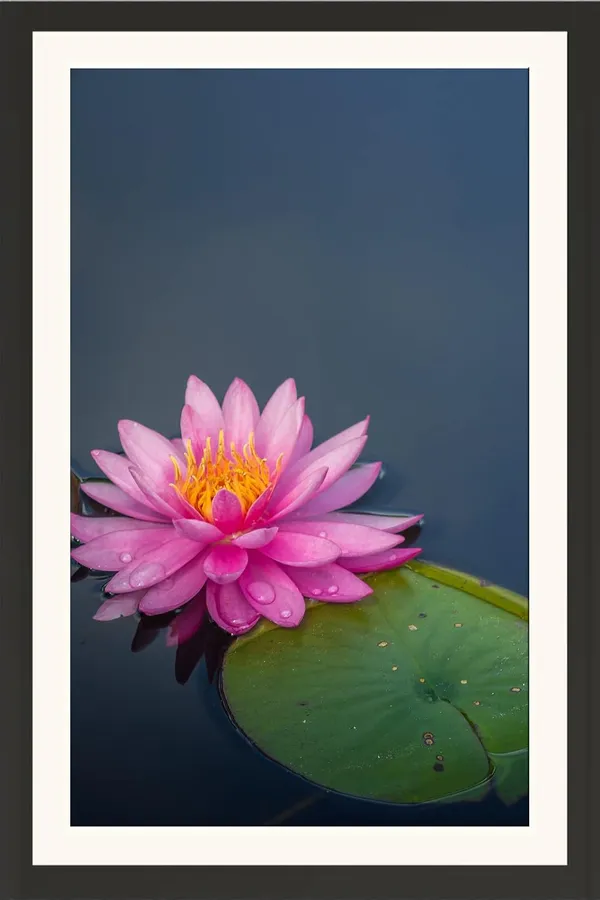 Laxmi_Lotus_Flower_Wall_Hanging_Frame_Without_Glass