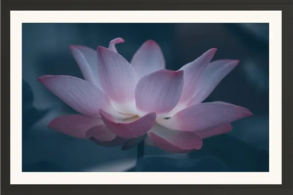 Laxmi_Lotus_Wall_Hanging_Framed_Photo_Without_Glass