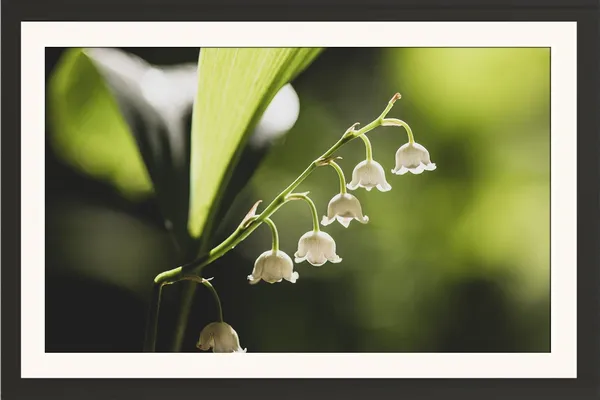 Framed_Floral_Photo_Wall_Hanging_Without_Glass
